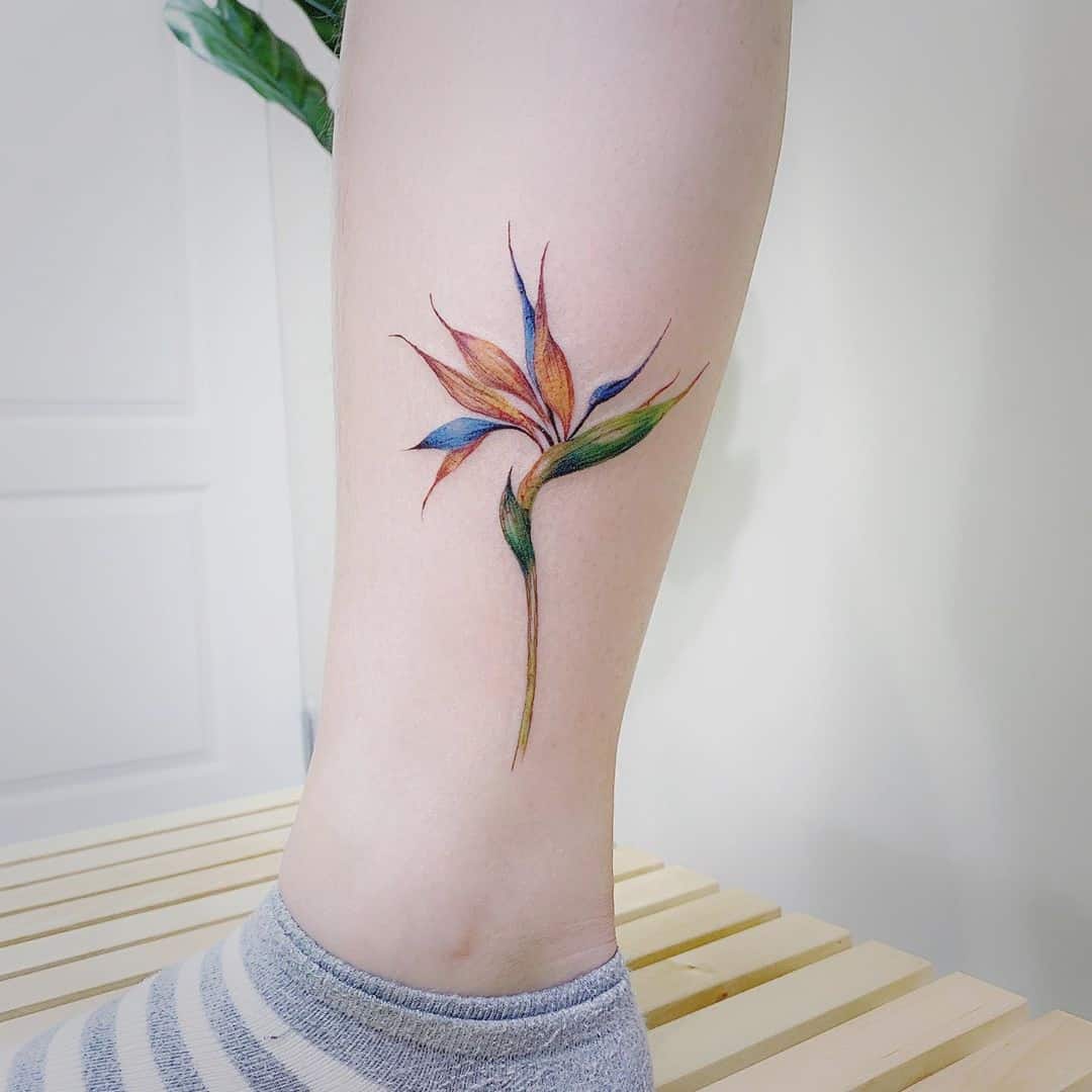 10 Kinds Of Beautiful Flower Tattoo Designs