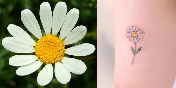 Daisy-Tattoo-20200628