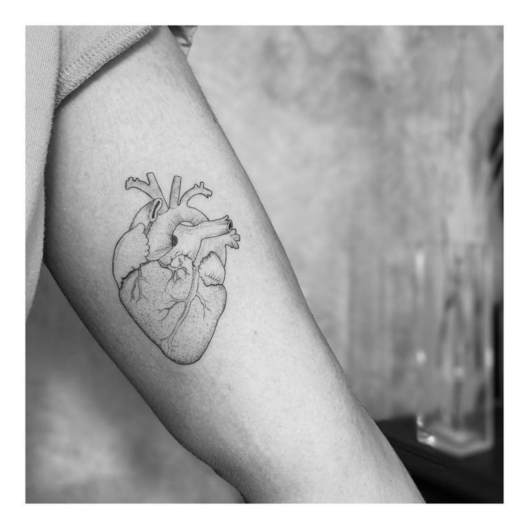 Anatomy Heart Tattoo Designs You Will Heart Them