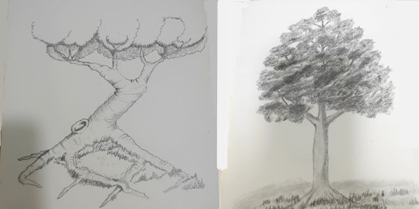 Draw-a-Tree-20200727