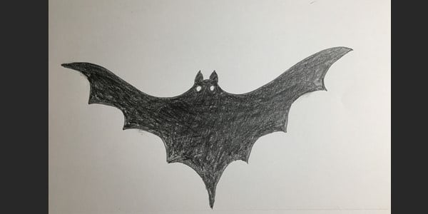 Draw-Bats-0200821