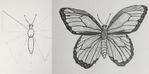 Draw-a-Butterfly-20200923