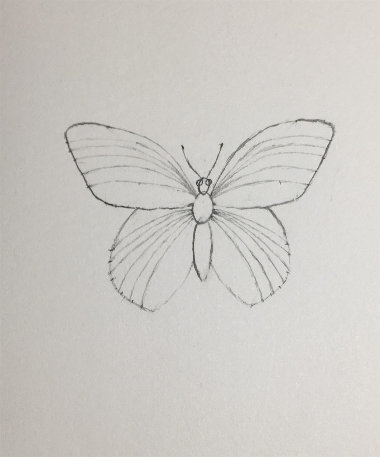 How to Draw a Butterfly-Step by Step Tutorial