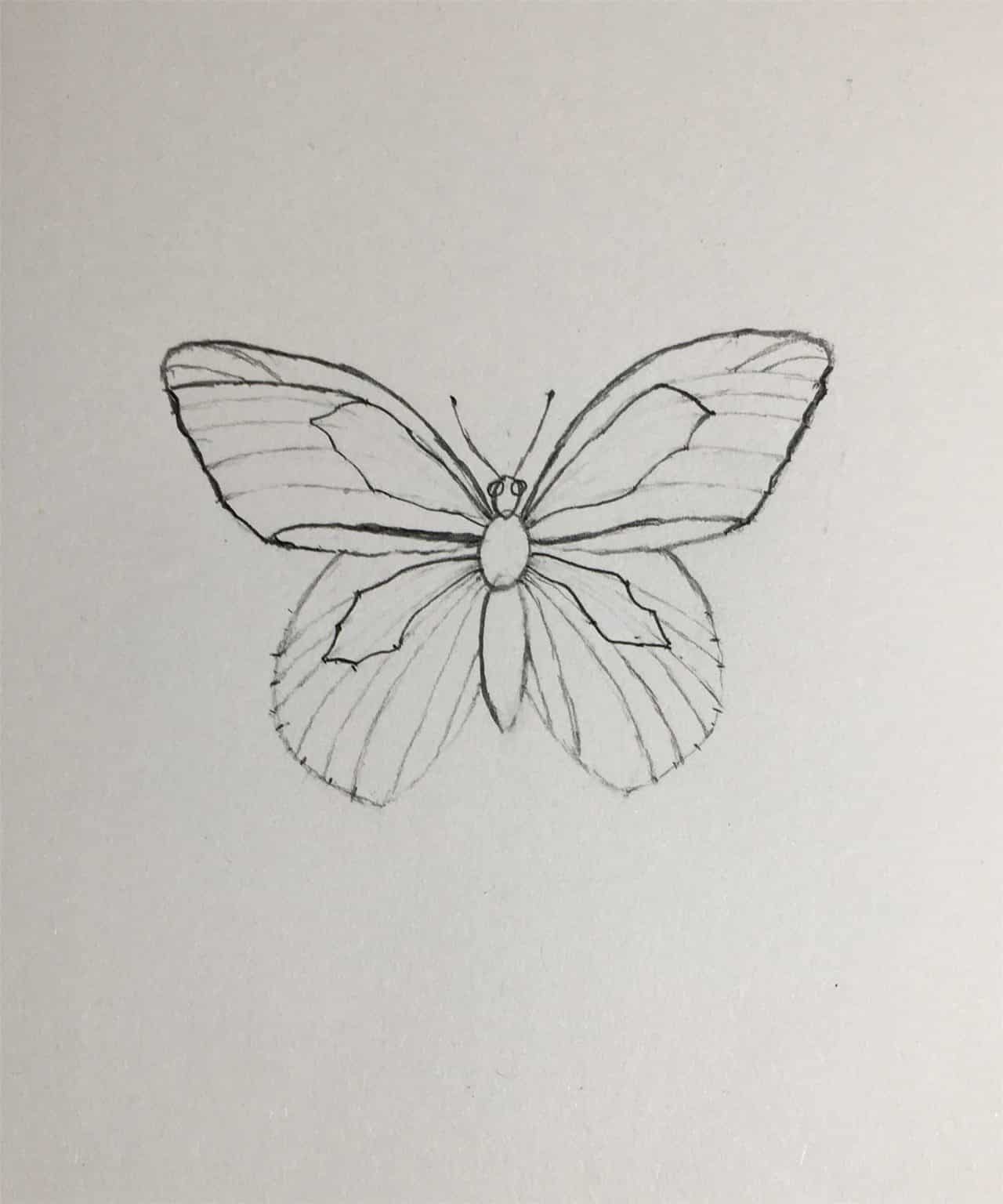 How to Draw a Butterfly-Step by Step Tutorial