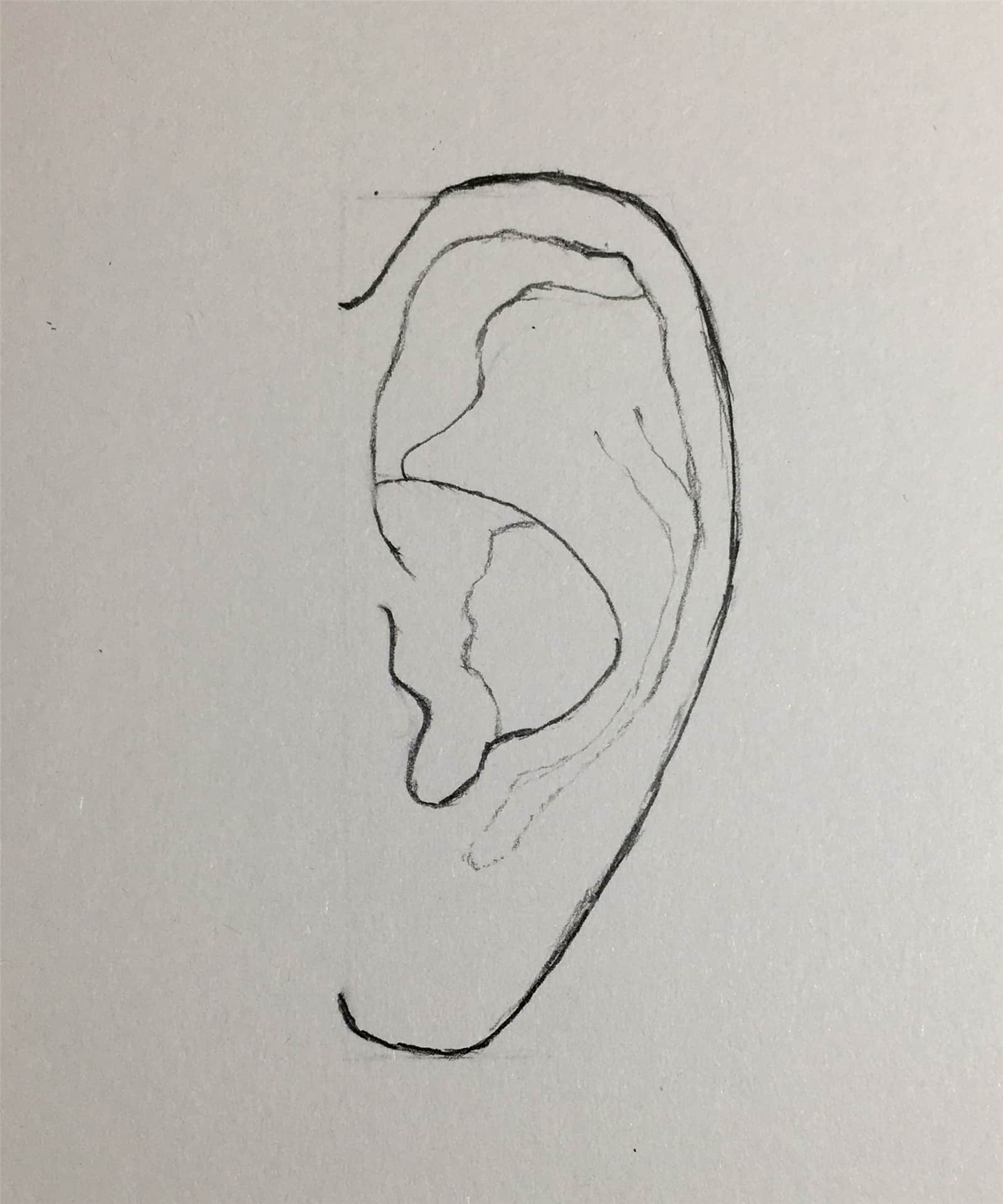 How to Easy Draw an Ear-Step by Step Tutorial