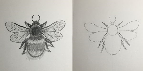 Draw-Bumble-Bee-20201028