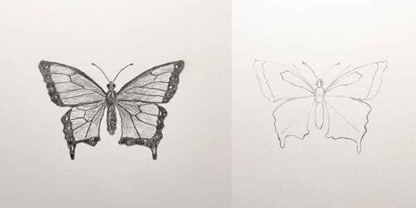 Draw-a-Butterfly-Easy-2020112900