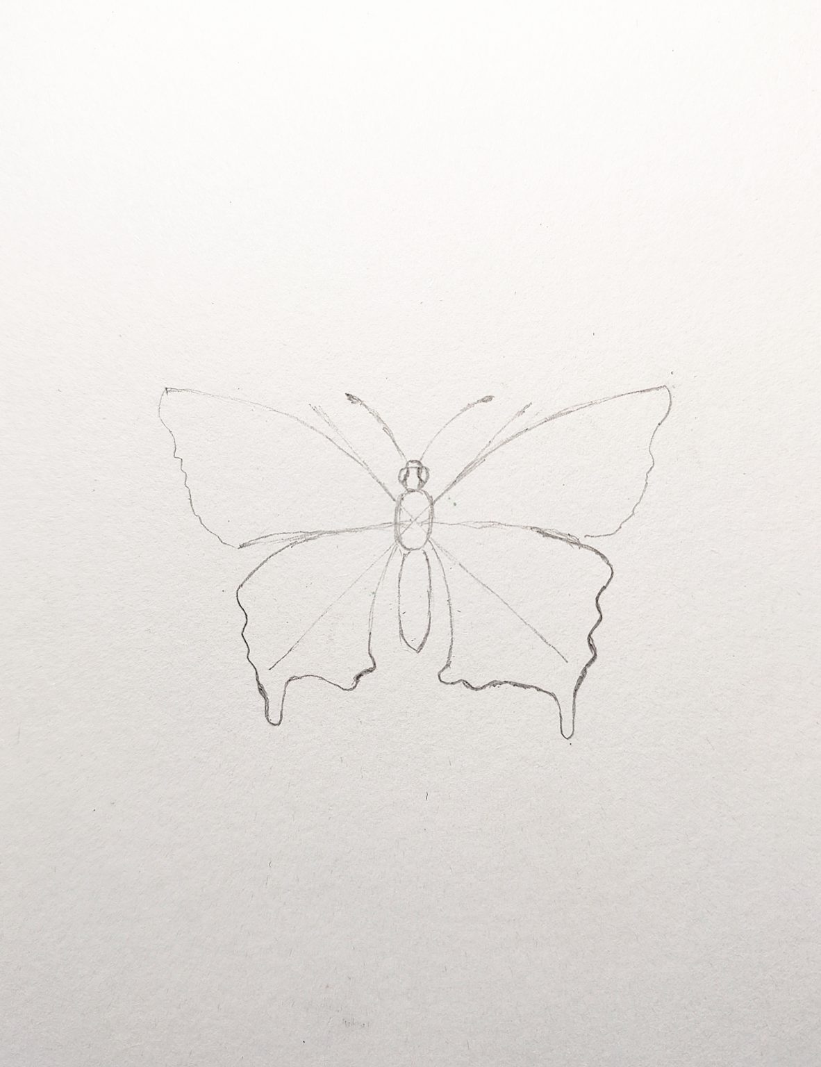 How to Draw a Butterfly Easy Step by Step