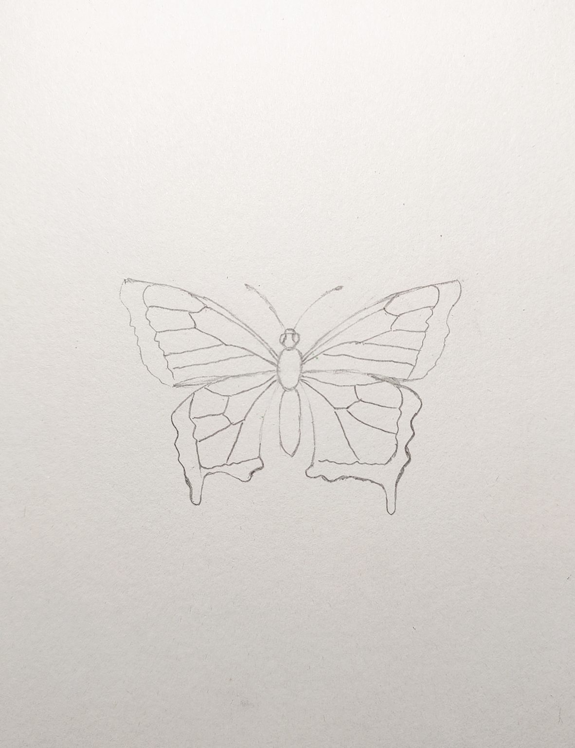 How to Draw a Butterfly Easy Step by Step