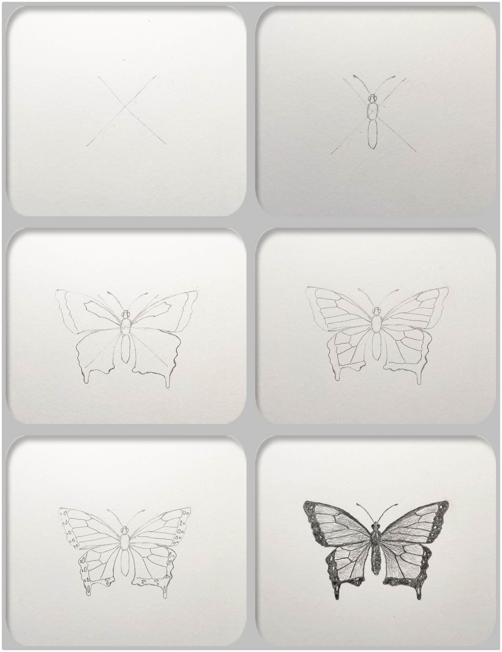 How to Draw a Butterfly Easy Step by Step