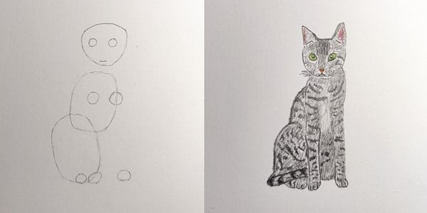 Draw-a-Cat-20201207