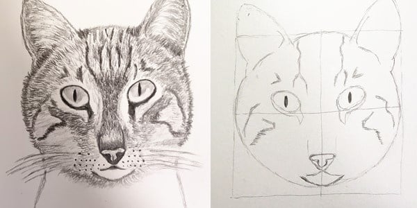 Draw-a-Cat-Face-20201223