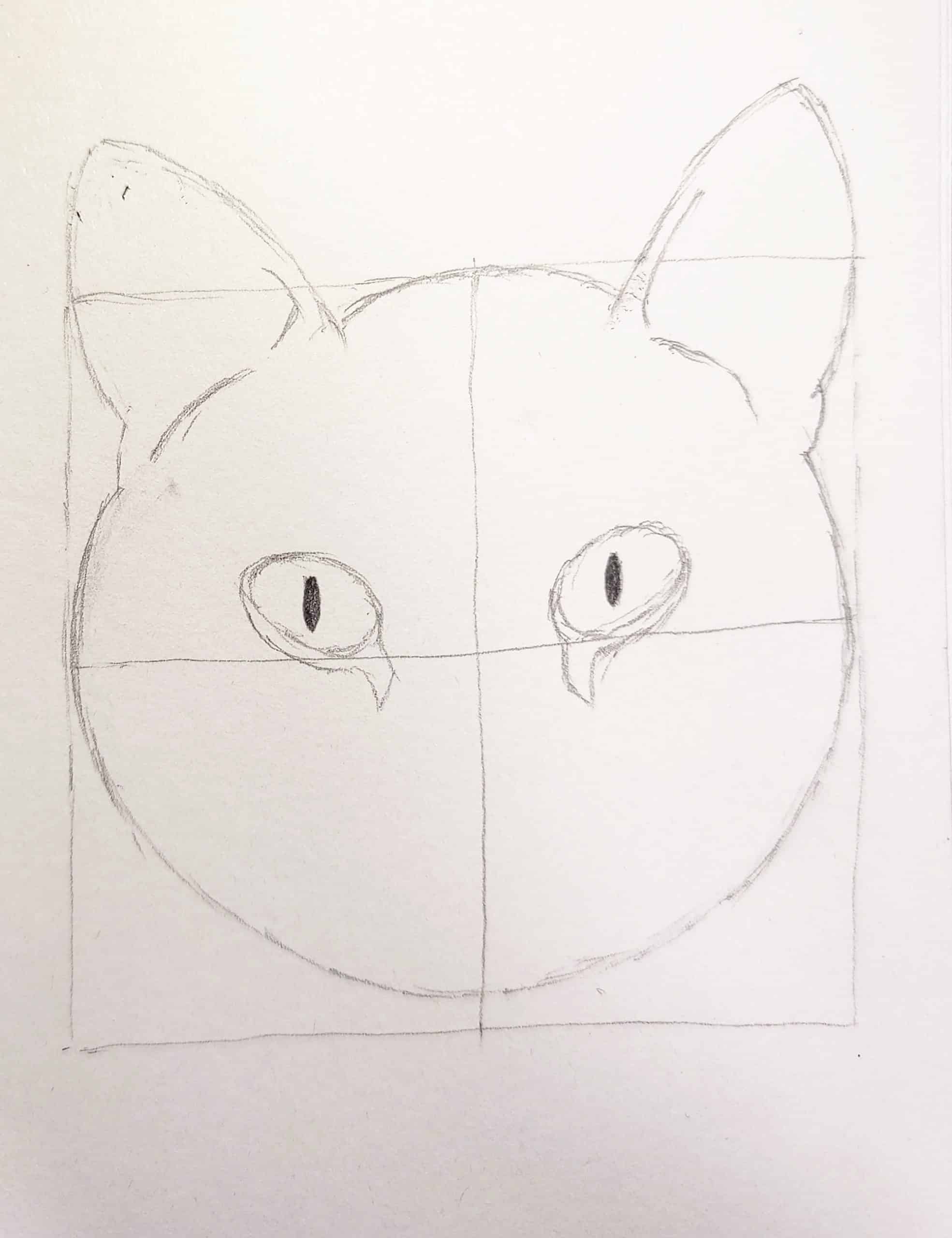 How to Draw a Cat Face Step by Step