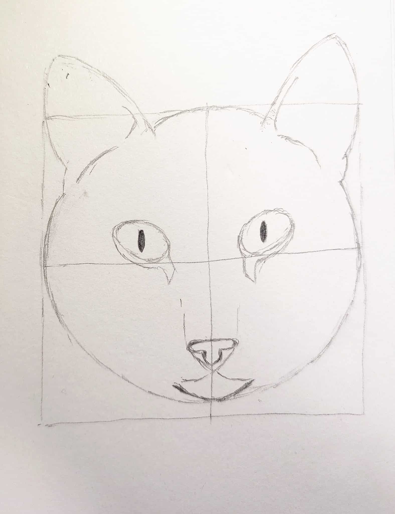 How to Draw a Cat Face Step by Step