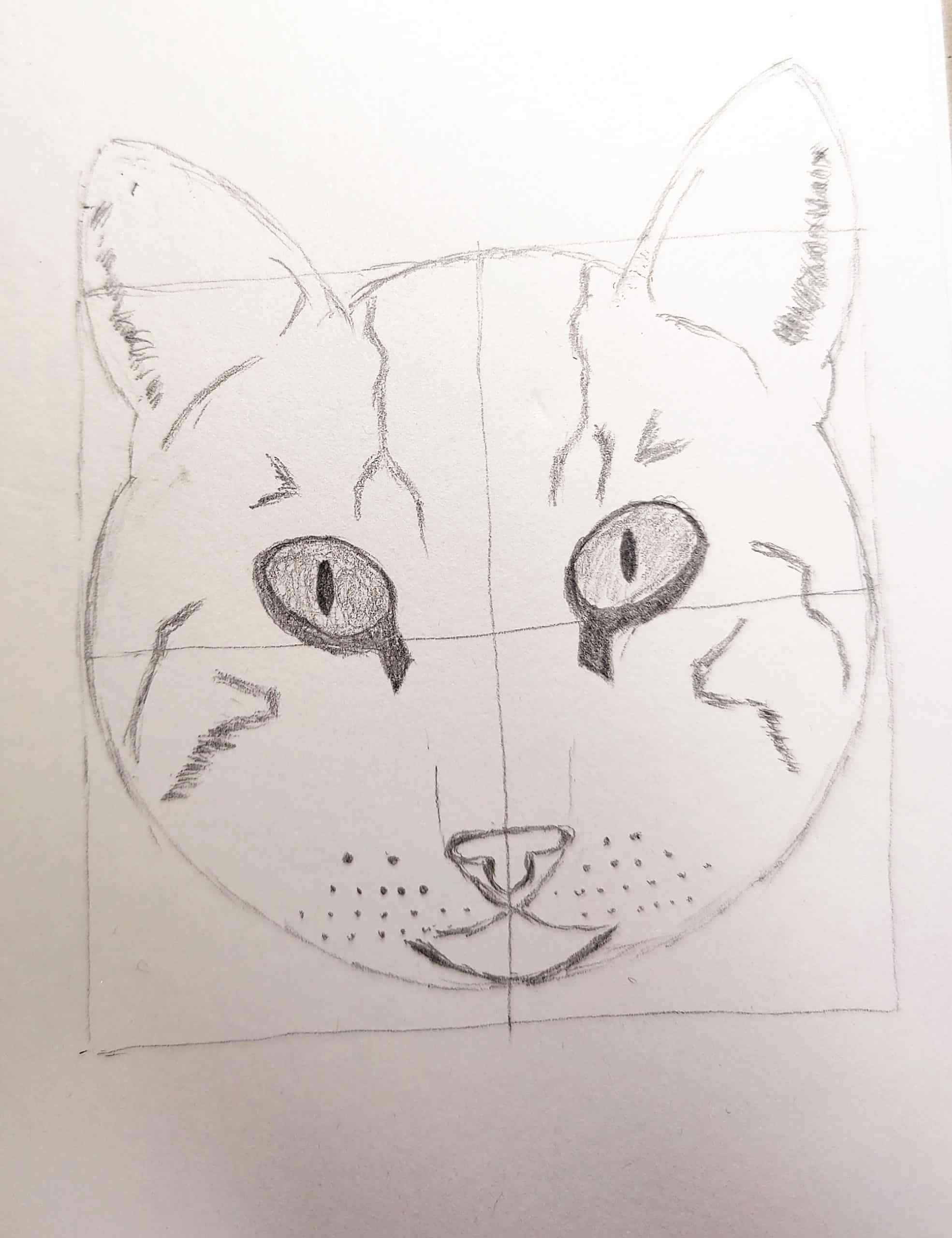 How to Draw a Cat Face Step by Step