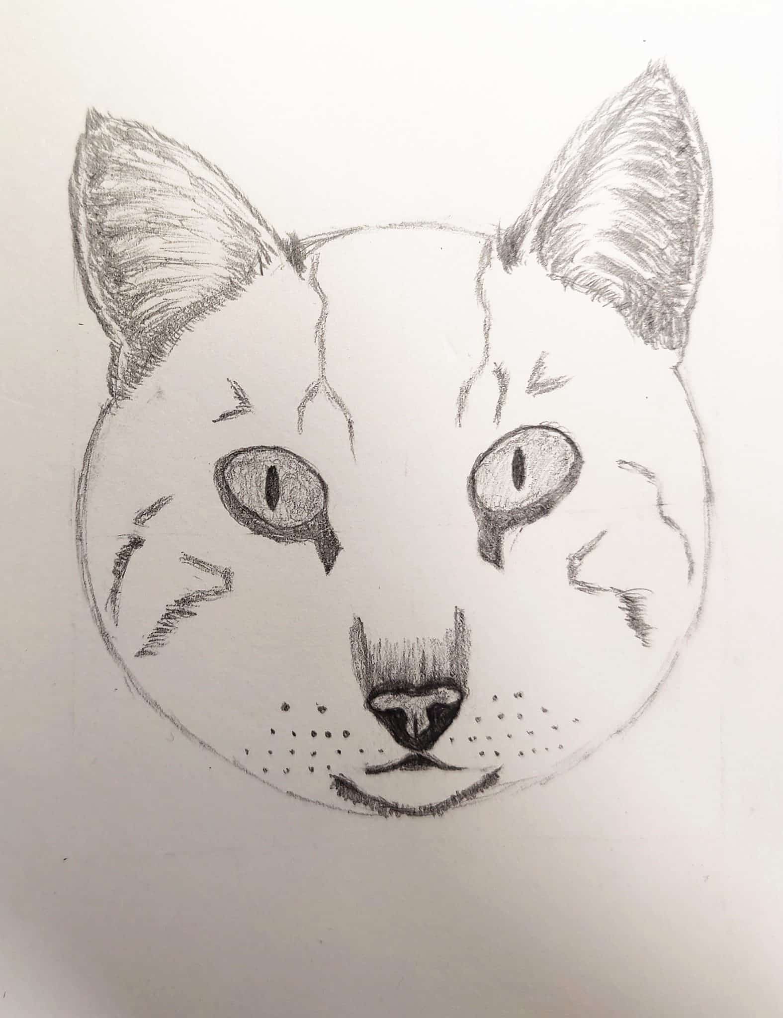 How to Draw a Cat Face Step by Step