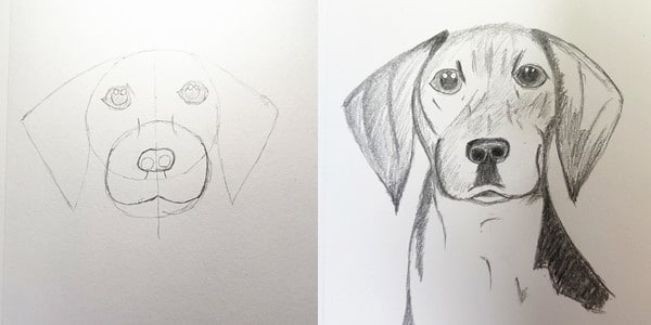 Draw-a-Dog-20201224