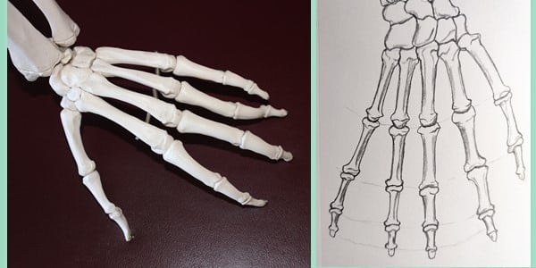 Draw-a-Skeleton-Hand-20201229