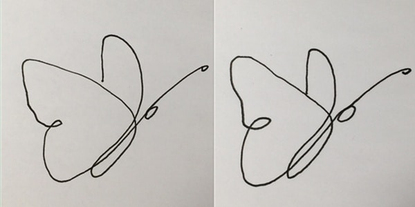 one line drawing butterfly-20210130