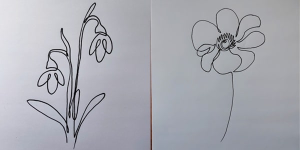 One line drawing Anemone -202106