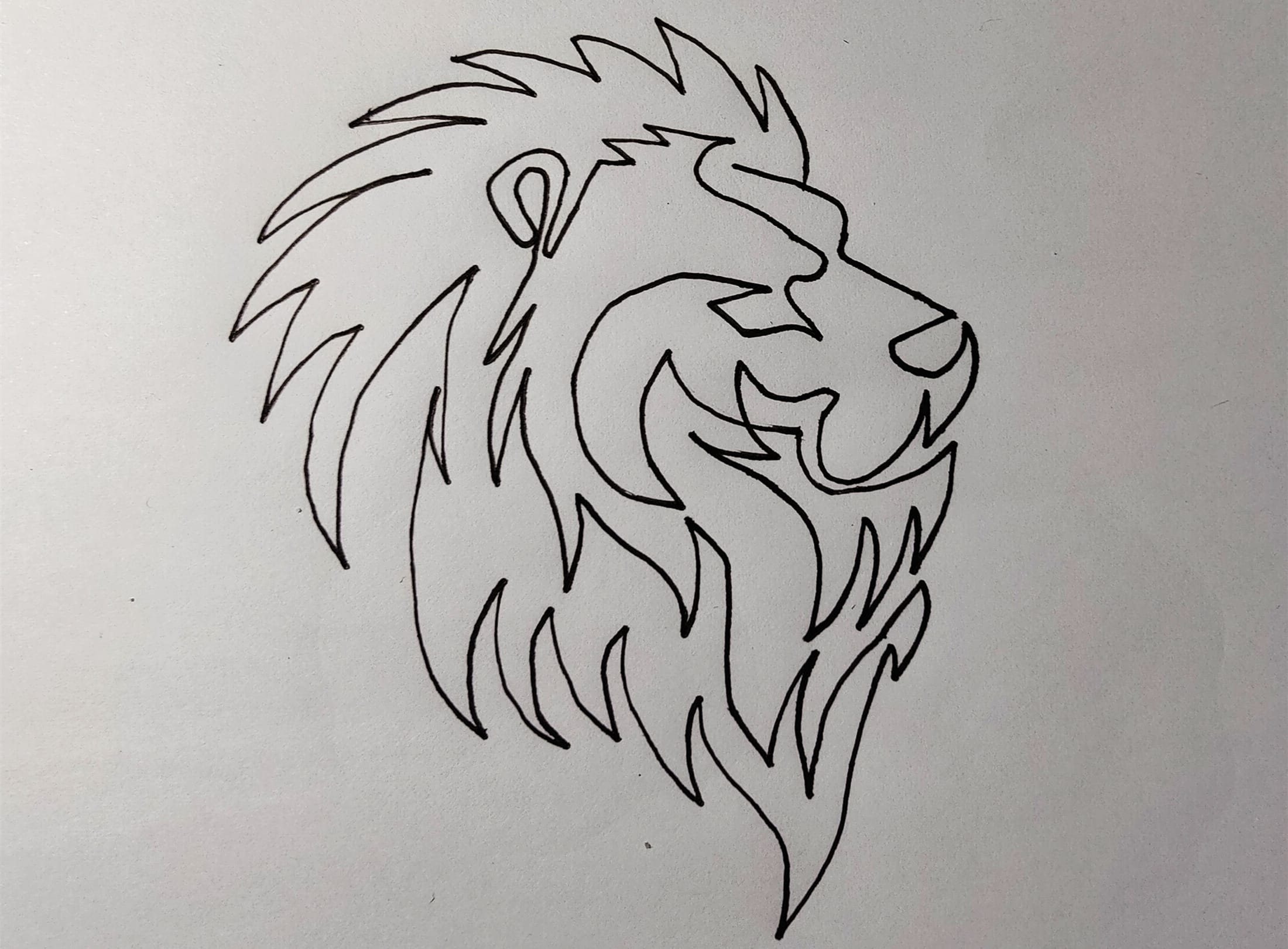 Learn how to draw a lion in one line_20211104