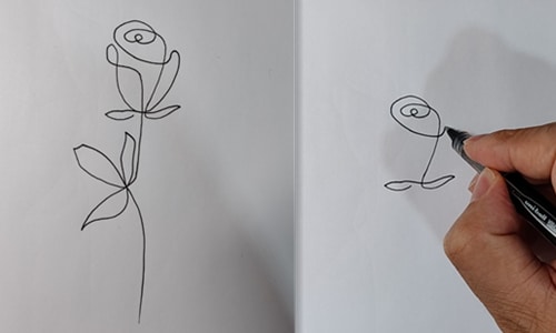 Draw a Rose in One Line