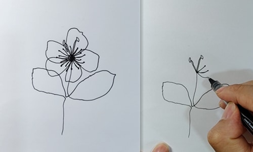 Single continuous line drawing of jasmine flowers-20220618