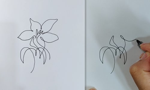 Single continuous line drawing of orchids-20220619