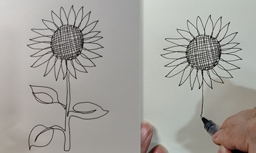 draw a sunflower with a single continuous line-20220612